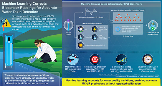 Machine learning-based biosensor calibration for MC-LR toxin monitoring