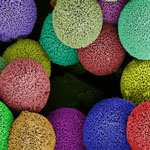 hedgehog particles