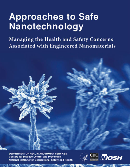 Approaches to Safe Nanotechnology (2009 Update)