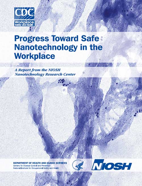 Progress Toward Safe Nanotechnology in the Workplace