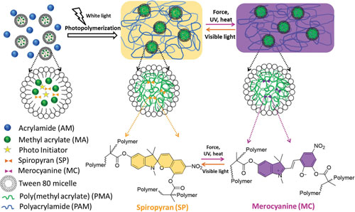 Synthesis procedure of mechanoresponsive poly(AM-co-MA/SP) hydrogel via micellar copolymerization of acrylamide and methyl acrylate/spiropyran