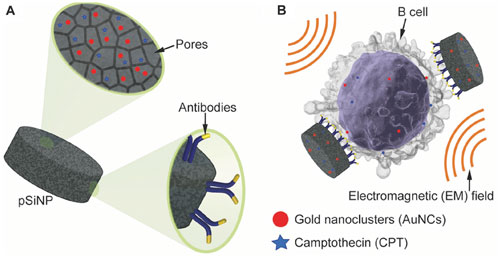 highly porous pSiNPs that can load the chemotherapeutic camptothecin and gold nanoclusters, and immobilize targeting antibodies