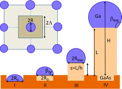 Proposed scheme of Ga-catalyzed vapor-liquid-solid growth of GaAs nanowires in regular arrays