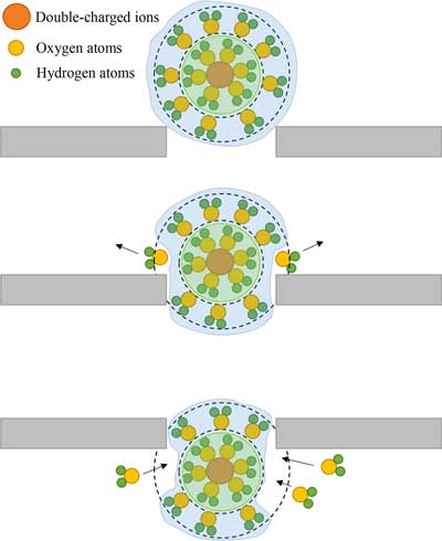 Schematic diagram of the ions with large hydration radii during passing through a nanoslit