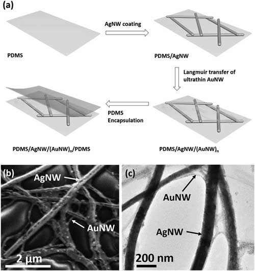 Schematic illustration of fabrication process of stretchable transparent strain sensor based on a double percolating networks of 'soft' AuNWs and 'rigid' AgNWs