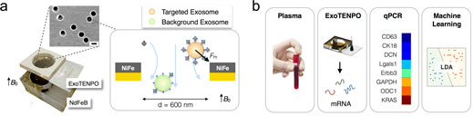 ExoTENPO-based exosome capture