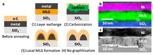Metal Catalysts for Layer-Exchange Growth of Multilayer Graphene