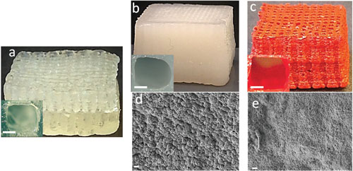 3D printed nanocellulose scaffolds