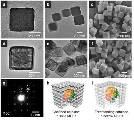 TEM and SEM images of catalase encapsulated in solid and hollow MOFs
