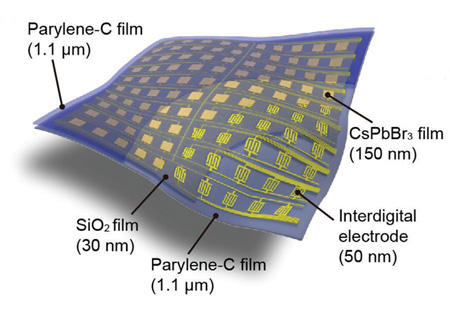 Schematic structure of ultrathin photodetector arrays
