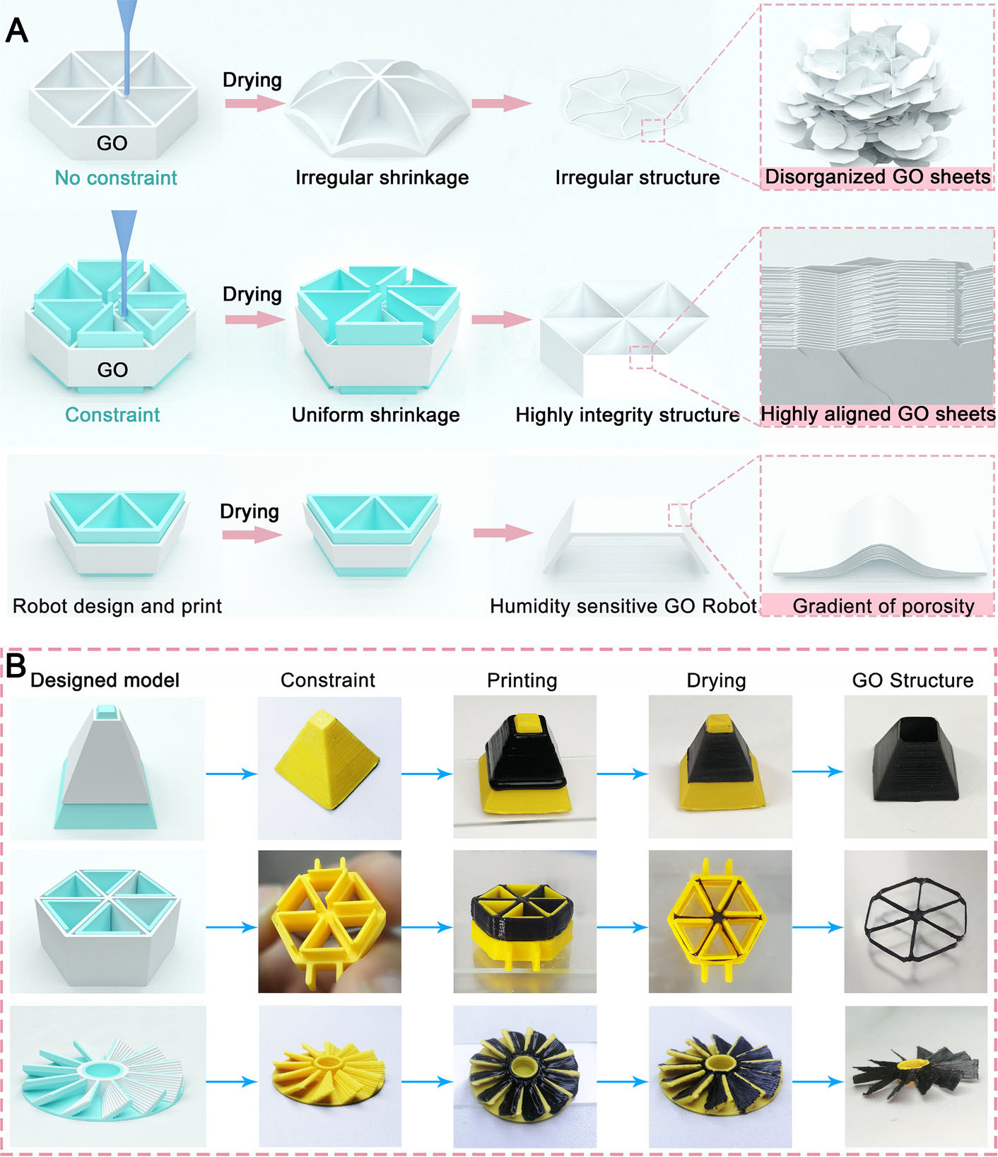 Schematic diagram for the controlled shrinking process for printed graphene oxide