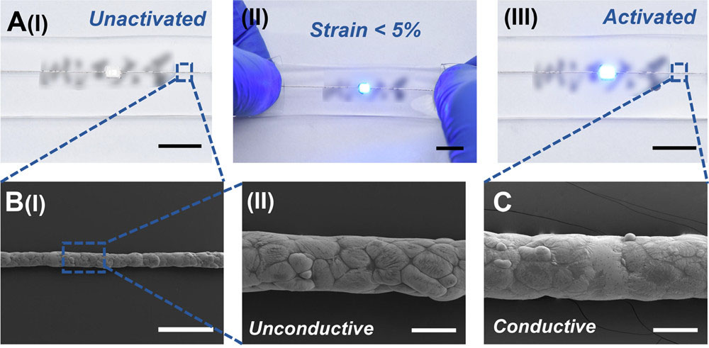 Surface morphology characterization and the activation principle of the microcircuit printed with  liquid metal ink