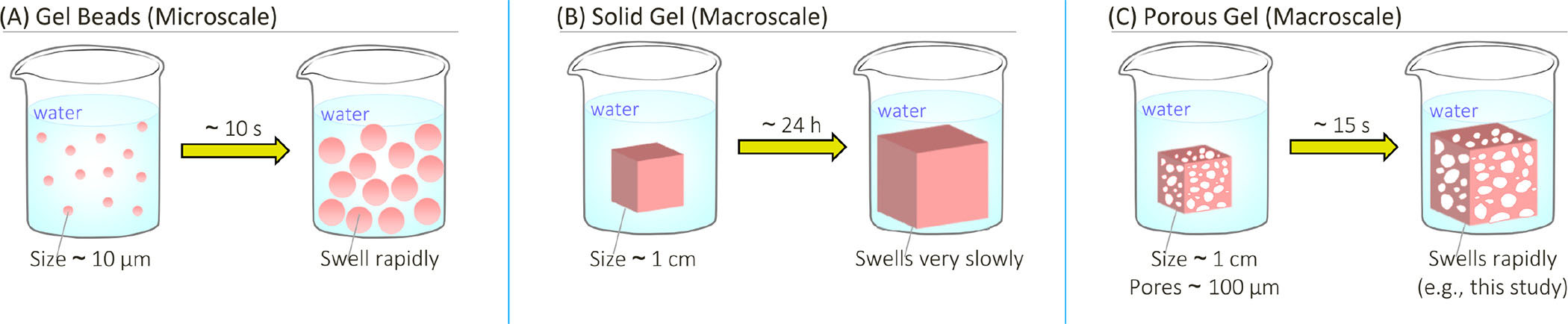 Gel-swelling dynamics at different length scales
