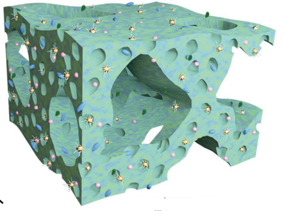 Bimetallic nanocatalysts immobilized in nanoporous hydrogels
