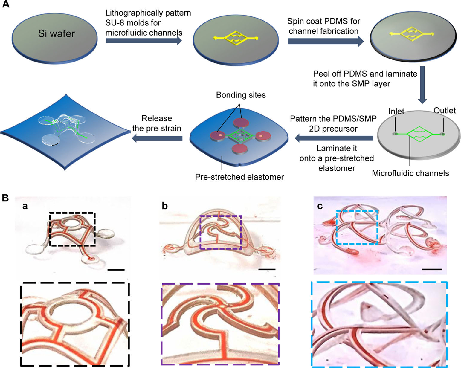 Shape-programmable 3D microfluidic structures formed from a bilayer of PDMS/SMPs