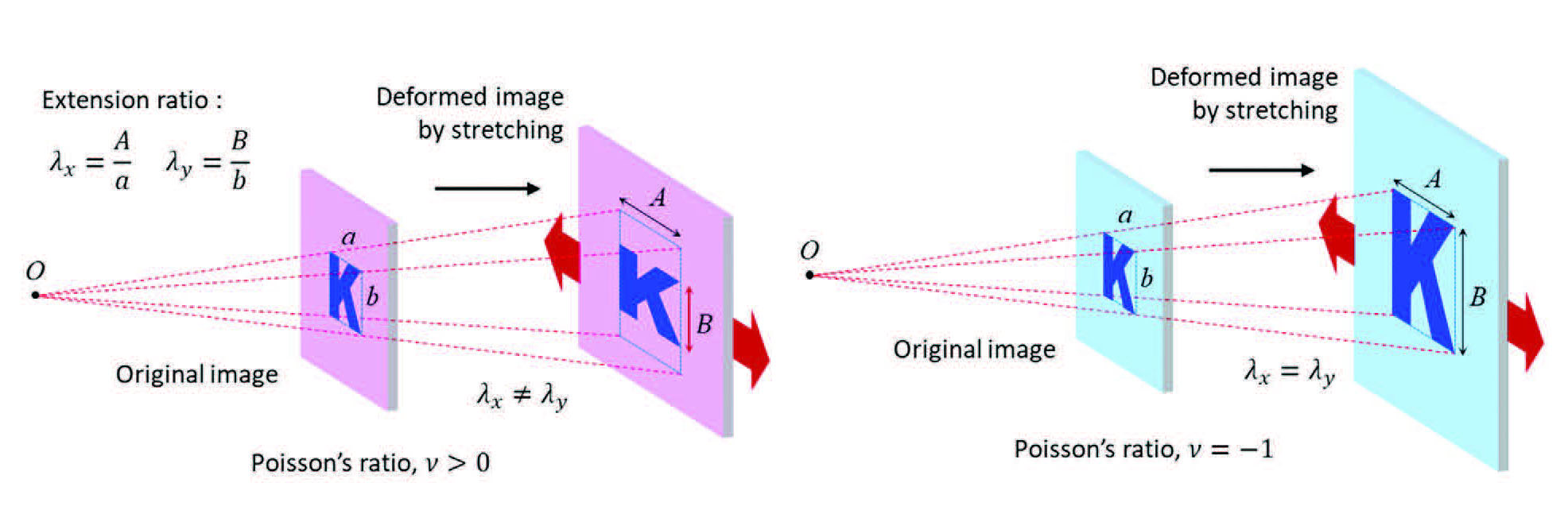 Deformed image by the base material with positive Poisson’s ratio and Poisson’s ratio of −1