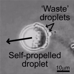 Scientists are reporting development of
self-propelled oil droplets that run on chemical fuel