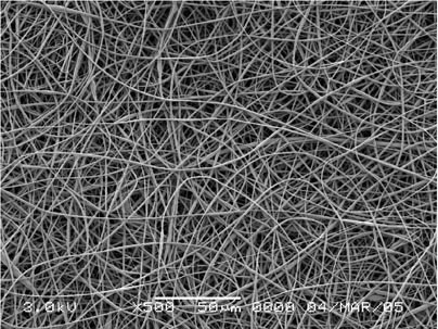 A scanning electron micrograph of an electrospun nonwoven mat of poly(styrene-co-dimethylsiloxane) fibers, showing the porous, nonwoven structure of the mat