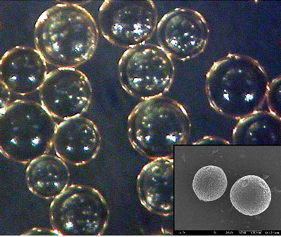 Optical microscopy and electron microscopy (inset) images of the polystyrene–polyethylene catalyst beads