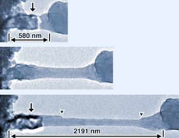 >nanowires pulled from salt