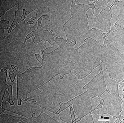 >electron micrograph showing the formation of interconnected carbon nanostructures on a graphene substrate