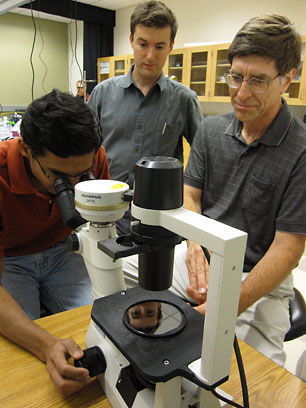 Researchers examine a silicon wafer