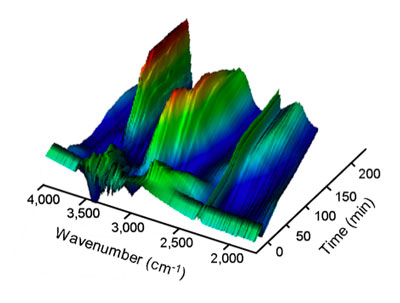 >Infrared spectromicroscopy analyses of D. vulgaris during oxygen-stress adaptive response depict a well-orchestrated series of chemical changes, such as spikes in levels of metabolites and hydrated sulfur clusters