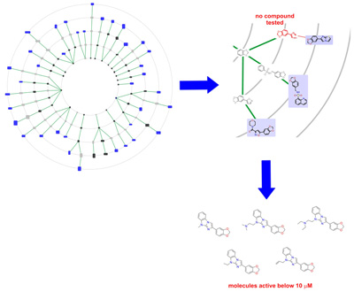 The search for active agents in the tree of structures: Basic chemical scaffolds are linked initially on the basis of their structural similarity