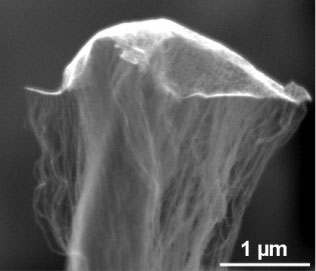 An odako grown at Rice University shows single-walled nanotubes lifting an iron and aluminum oxide 'kite' as they grow while remaining firmly rooted in a carbon base