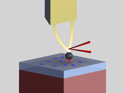 A diagram of the setup, including a cantilever from an atomic force microscope, used to measure the heat transfer between objects separated by nanoscale distances.