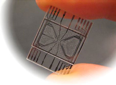 Chip for Lab on a Chip device