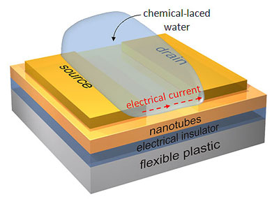 A diagram of a nanotube transistor on a flexible chip for detecting toxins or explosives in a water sample