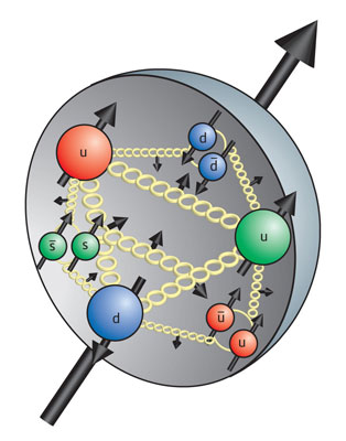 schematic of the internal structure of a proton