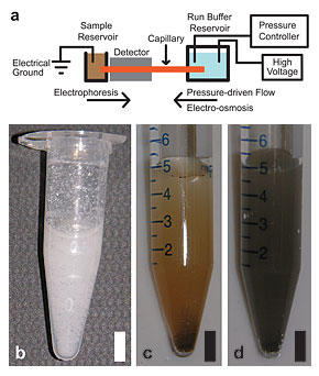 The NIST GEMBE microfluidic sample analysis system