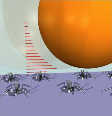 Chains of superparamagnetic colloidal particles rotate to produce flows on length scales much larger than the chain dimensions, allowing them to behave like 