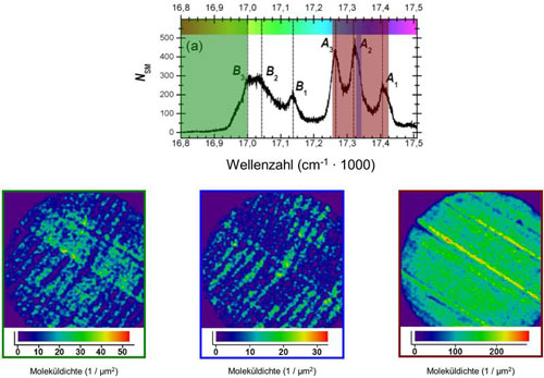 Jedes der drei unteren Bilder zeigt die räumliche Anordnung derjenigen Einzelmoleküle, die zum Fluoreszieren angeregt werden, wenn der Laser den Frequenzbereich durchläuft, der im oberen Teil der Abbildung farblich unterlegt ist