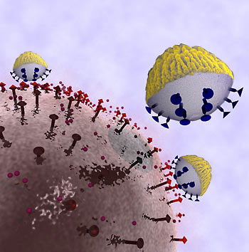 smart nanoprobes, called nanocorals, to selectively attach to cancer cells