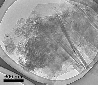 Nanotubes can grow on graphite in an unruly mass