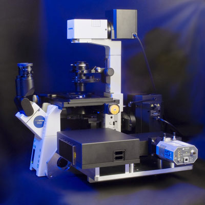 The Raman spectrometer makes it possible to detect germs, for example in tissue transplants