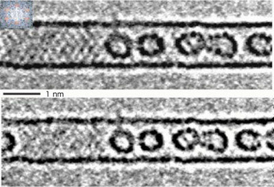Electron microscope image of C60 fullerene molecules confined in a carbon nanotube (upper) and image without the striped pattern of the nanotube (lower)