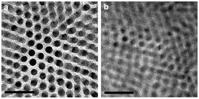 These transmission electron microscope images show (a) the original nanorod array of cadmium sulfide and (b) a composite made from cadmium sulfide and the chalcogenide copper sulfide
