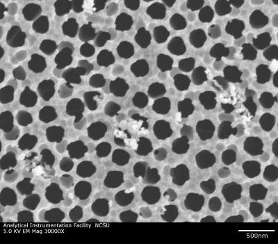 Coated Nanoporous Alumina Membrane