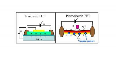 nanowire/nanobelt based field effect transistor (FET)