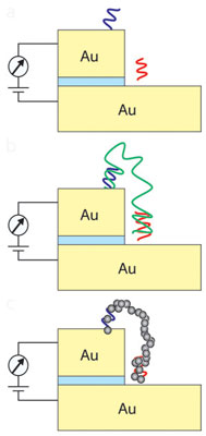 Schematic of the DNA sensor array