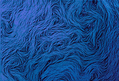 Van Gogh Nanotubes