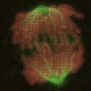 Each of these large images of dividing cells is composed of several microscopy images of human cells in which different individual genes were silenced
