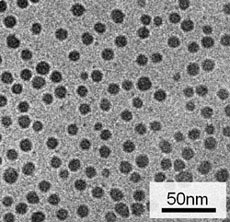 Transmission electron microscope image of the silver nanoparticles synthesized