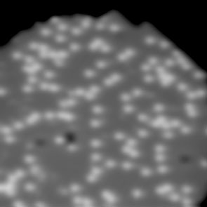 STM image of isolated water molecules adsorbed on ultrathin MgO surface