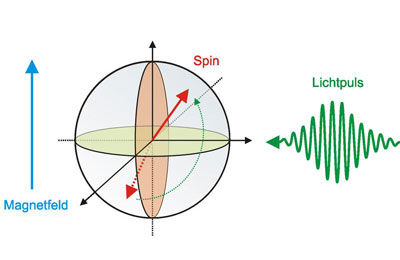 Durch Lichtpulse lässt sich der Spin eines Elektrons in eine genau definierte Position bringen