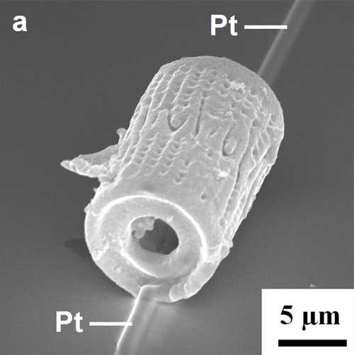 sensor created from a microporous silicon structure